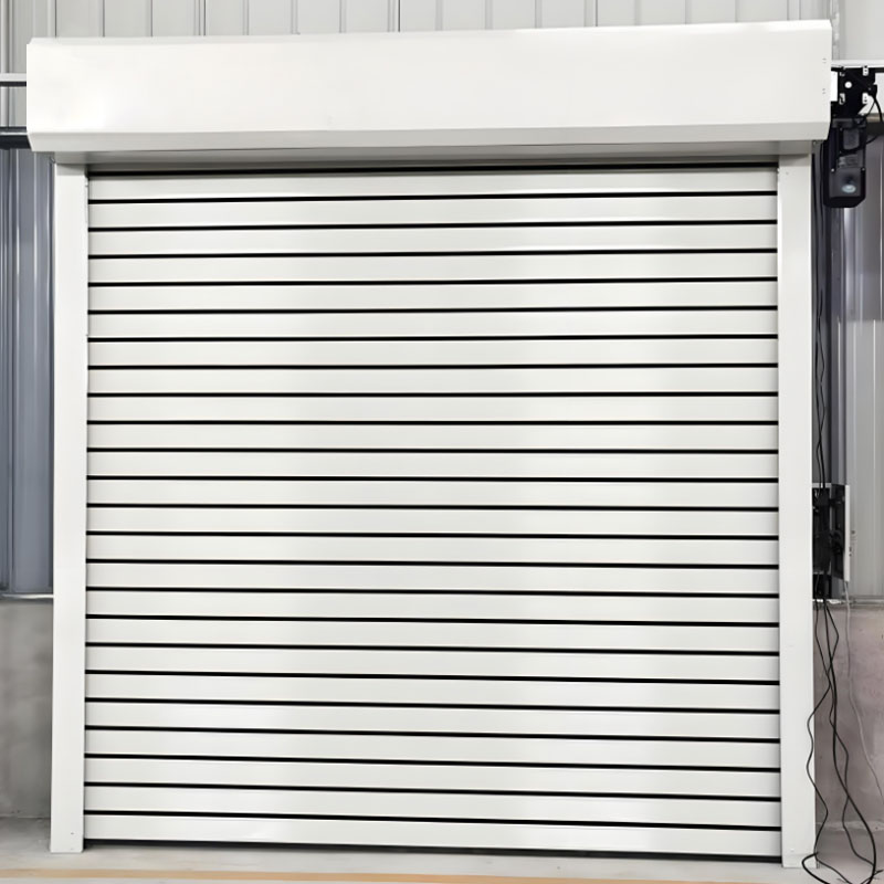 Wind resistant high speed Door